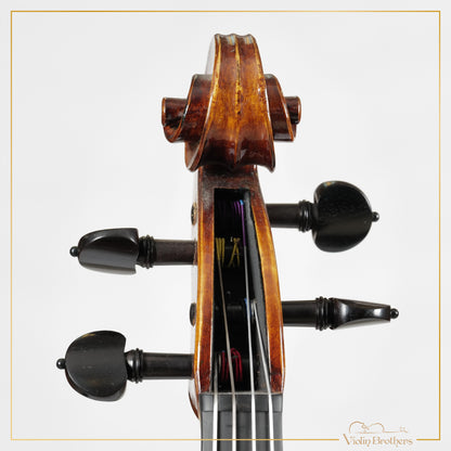 New Viola A5 15.5" | V22404