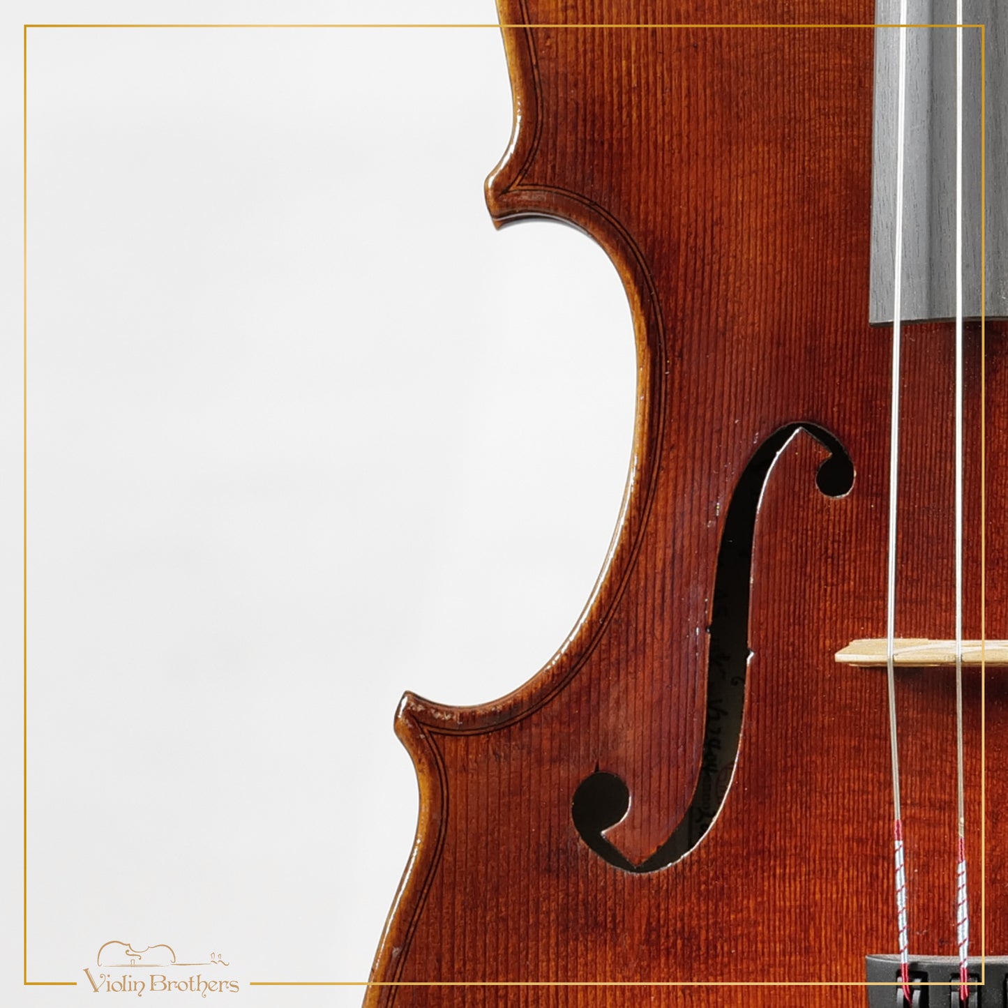 New Viola A5 15.5" | V22404