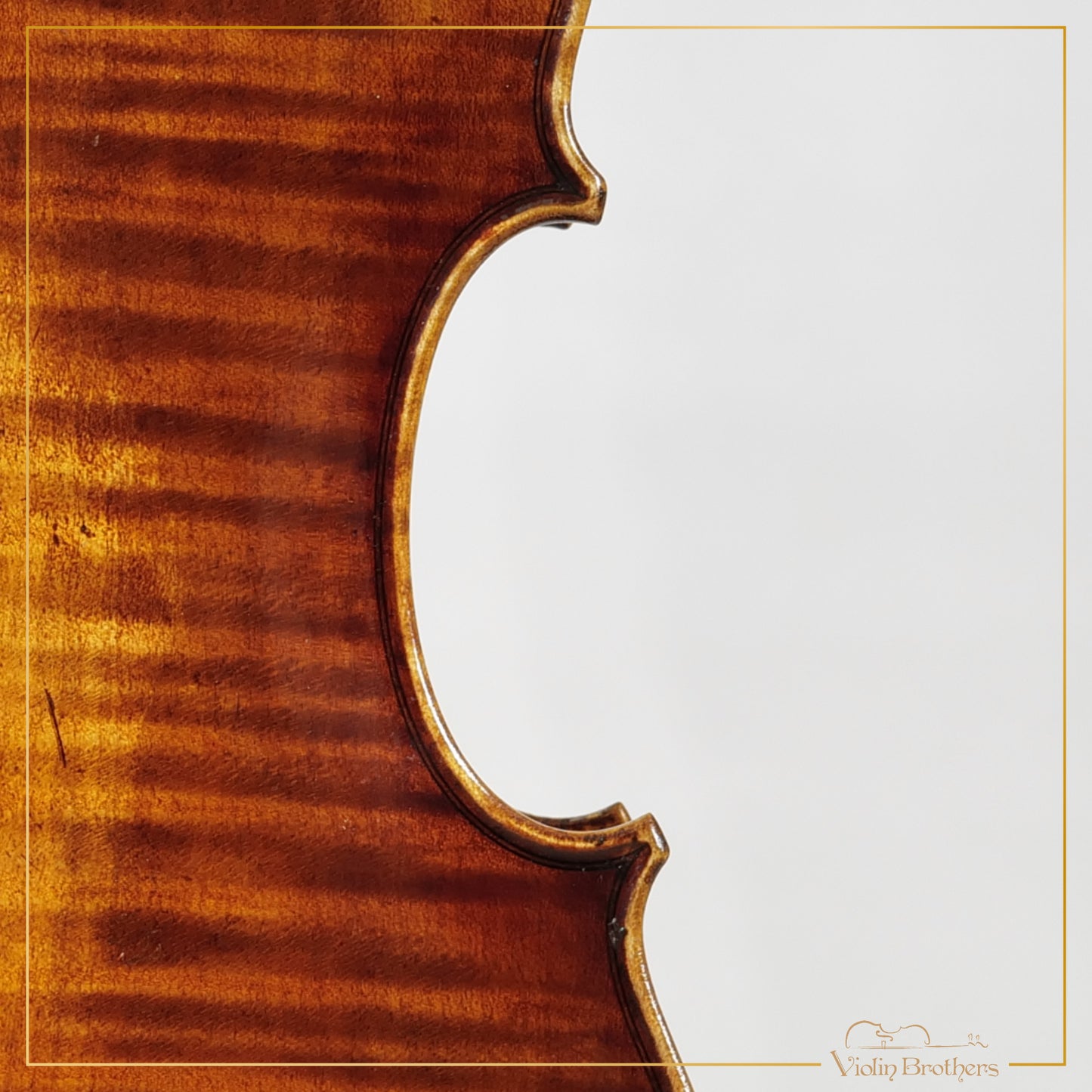 New Viola A5 16" | V26165