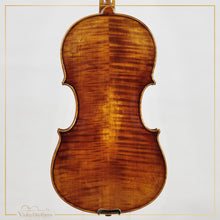New Viola A5 16" | V26165