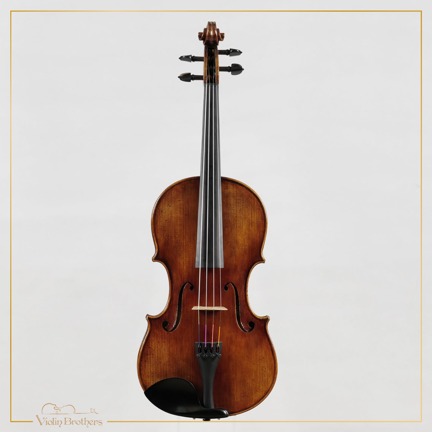 New Viola A5 16" | V26165