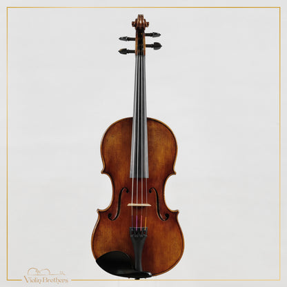 New Viola A5 16" | V26165