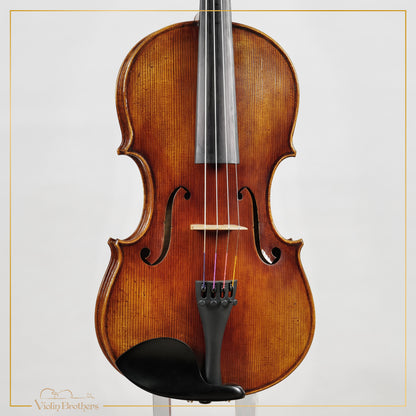 New Viola A5 16" | V26165