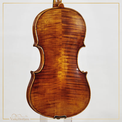 New Viola A5 16" | V26165