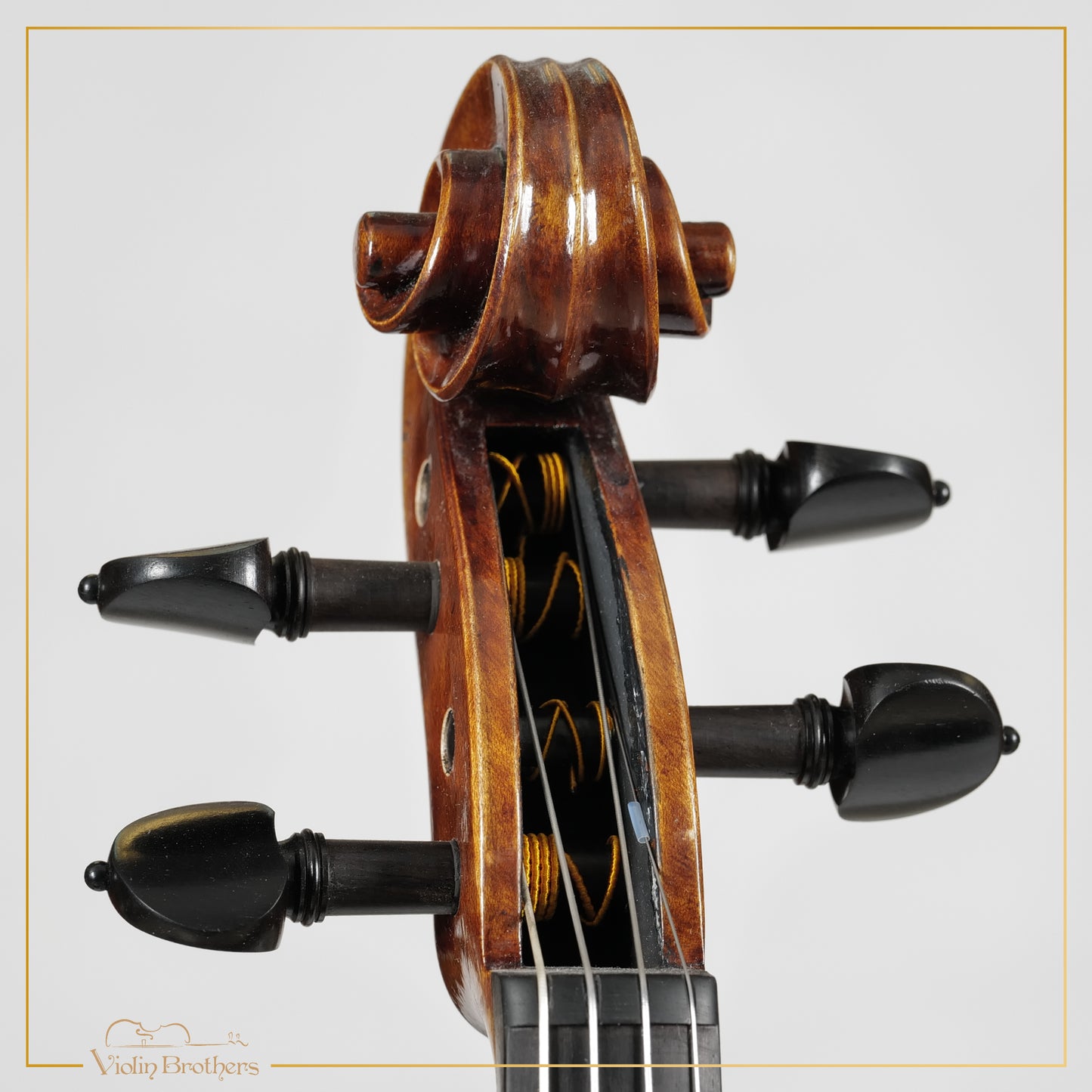 New Viola A5 16" | V26165