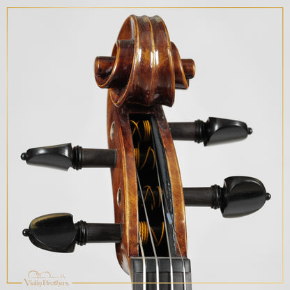 New Viola A5 16" | V26165