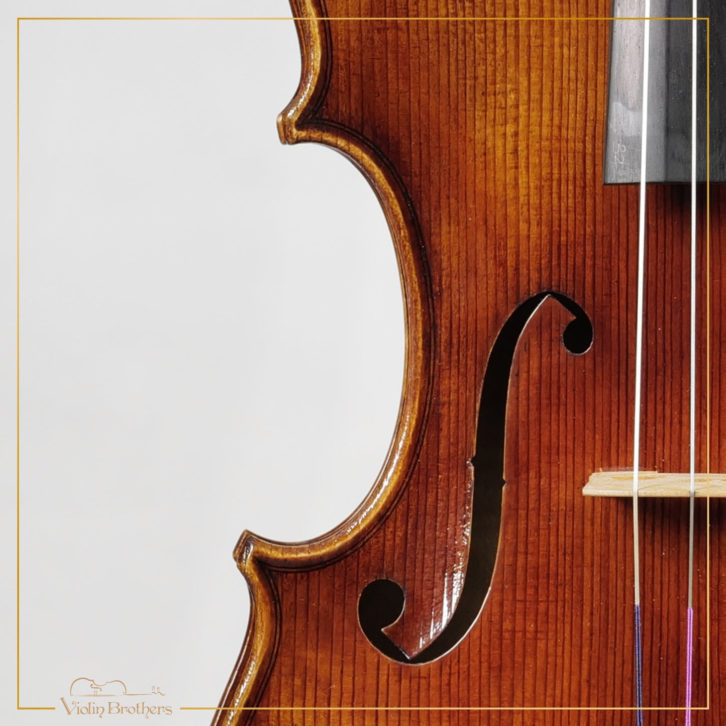 New Viola A5 16" | V26165