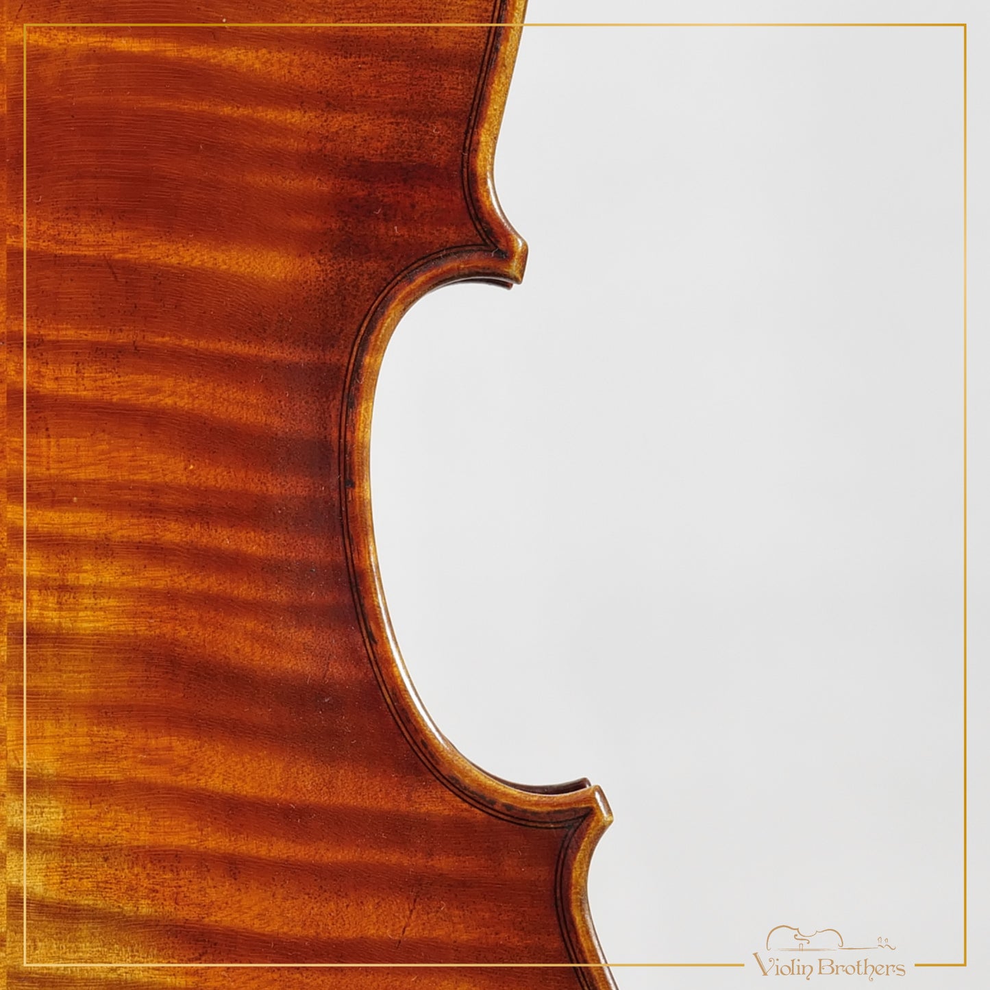 New Viola A7 15.5" | V20955