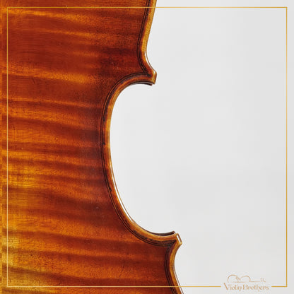 New Viola A7 15.5" | V20955