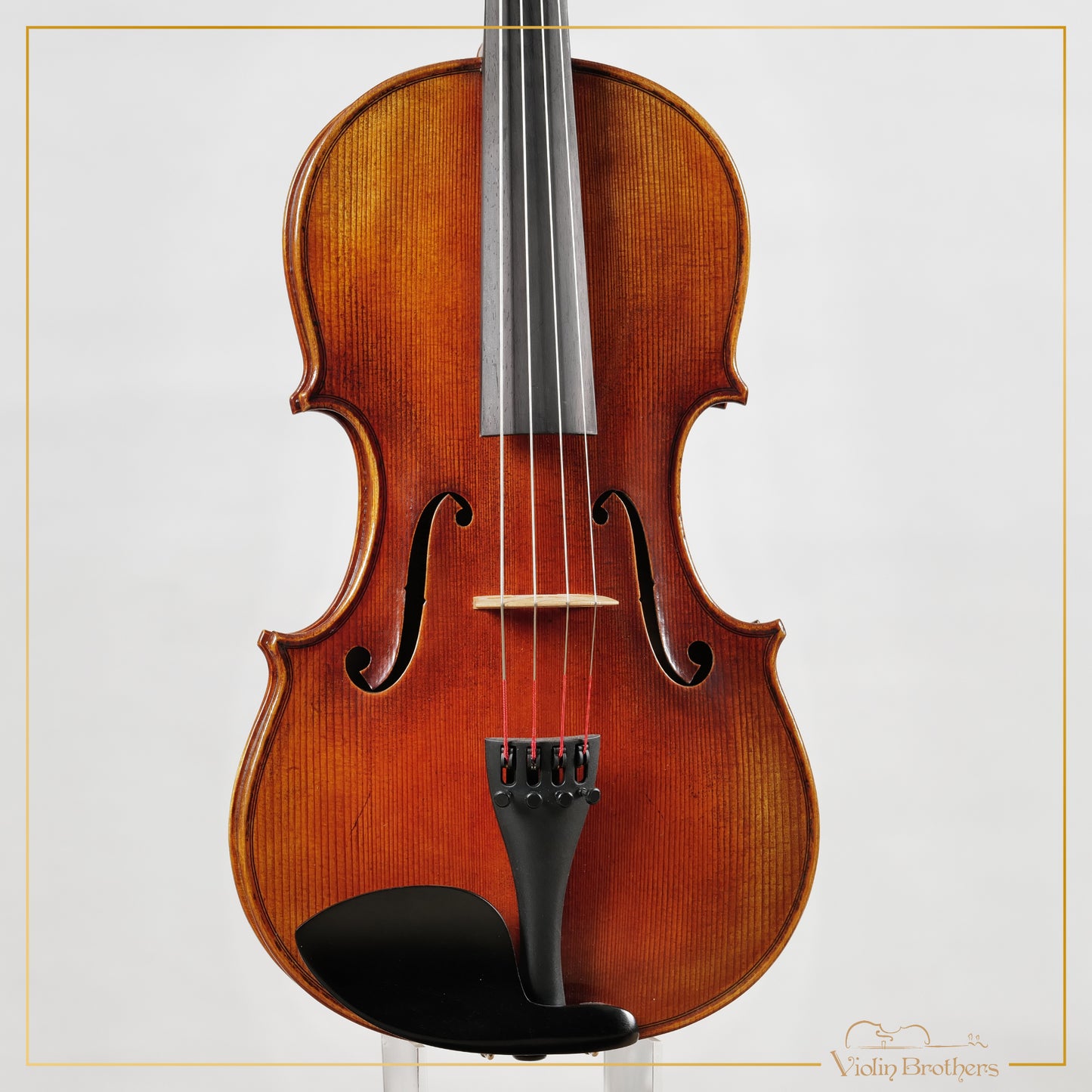 New Viola A7 15.5" | V20955