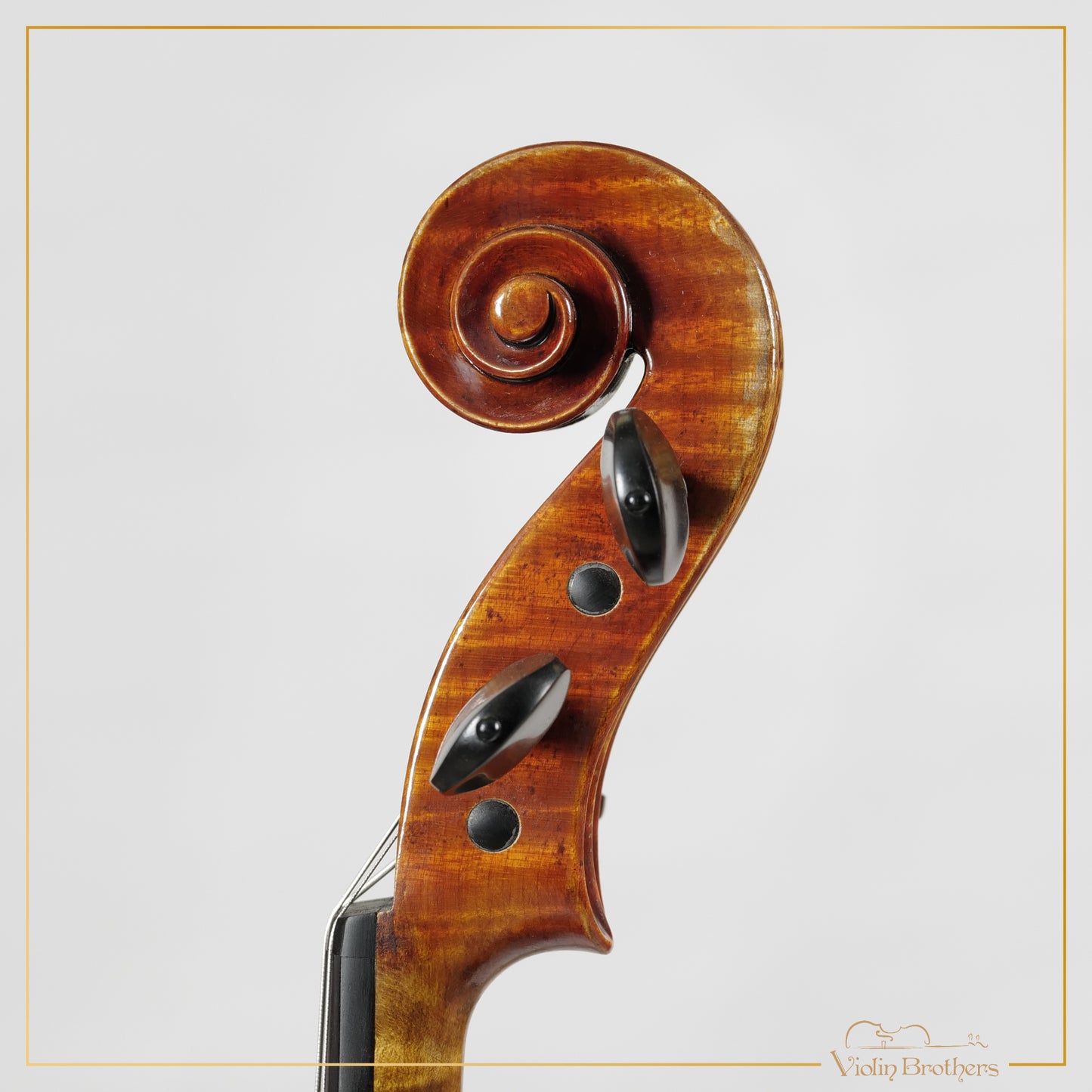 New Viola A7 15.5" | V20955