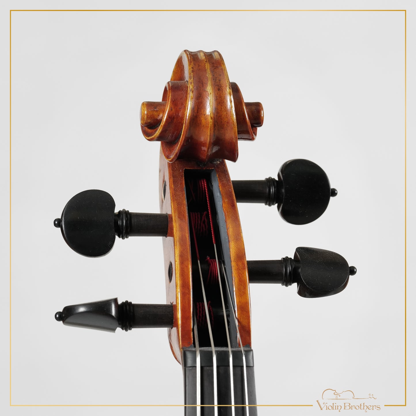 New Viola A7 15.5" | V20955