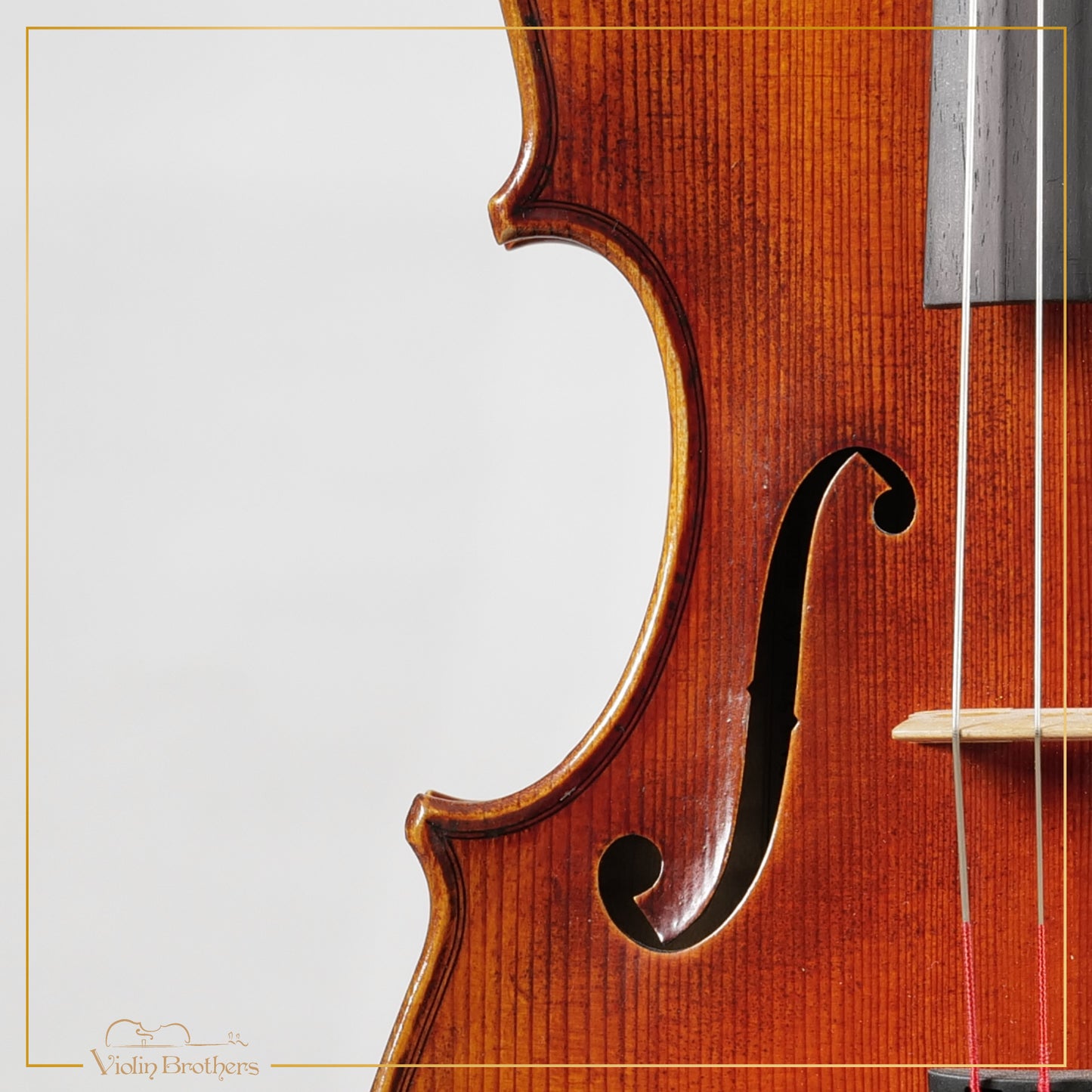 New Viola A7 15.5" | V20955
