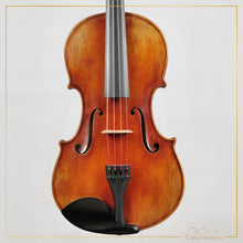 New Viola A7 16" | V22414