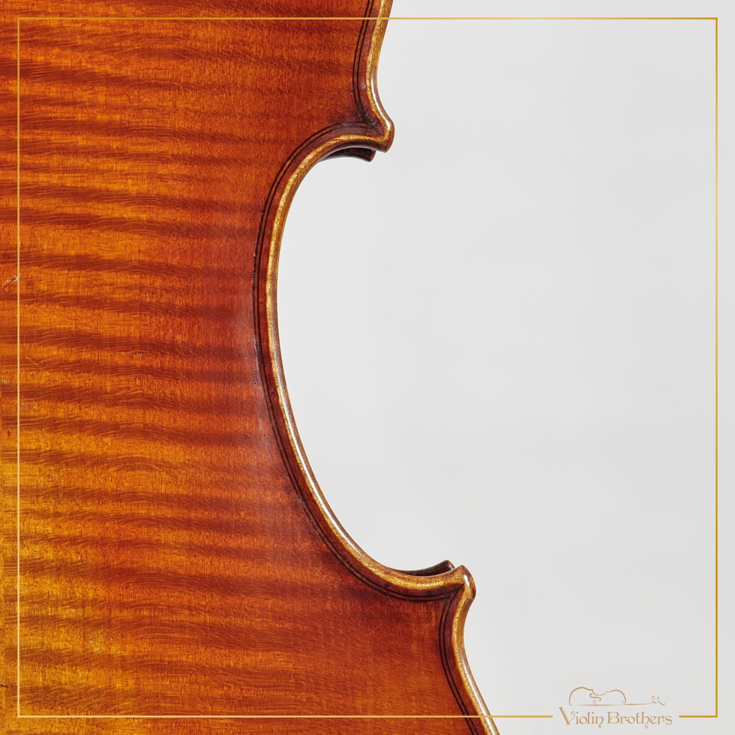 New Viola A7 16" | V22414
