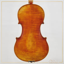 New Viola A7 16" | V22414