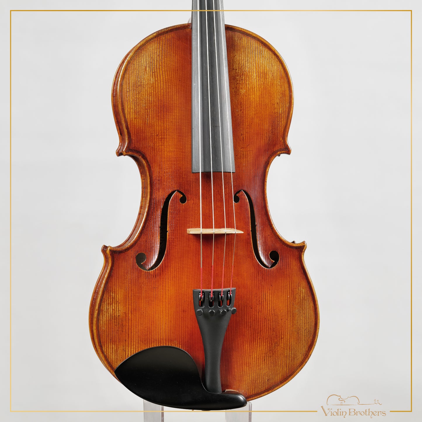 New Viola A7 16" | V22414