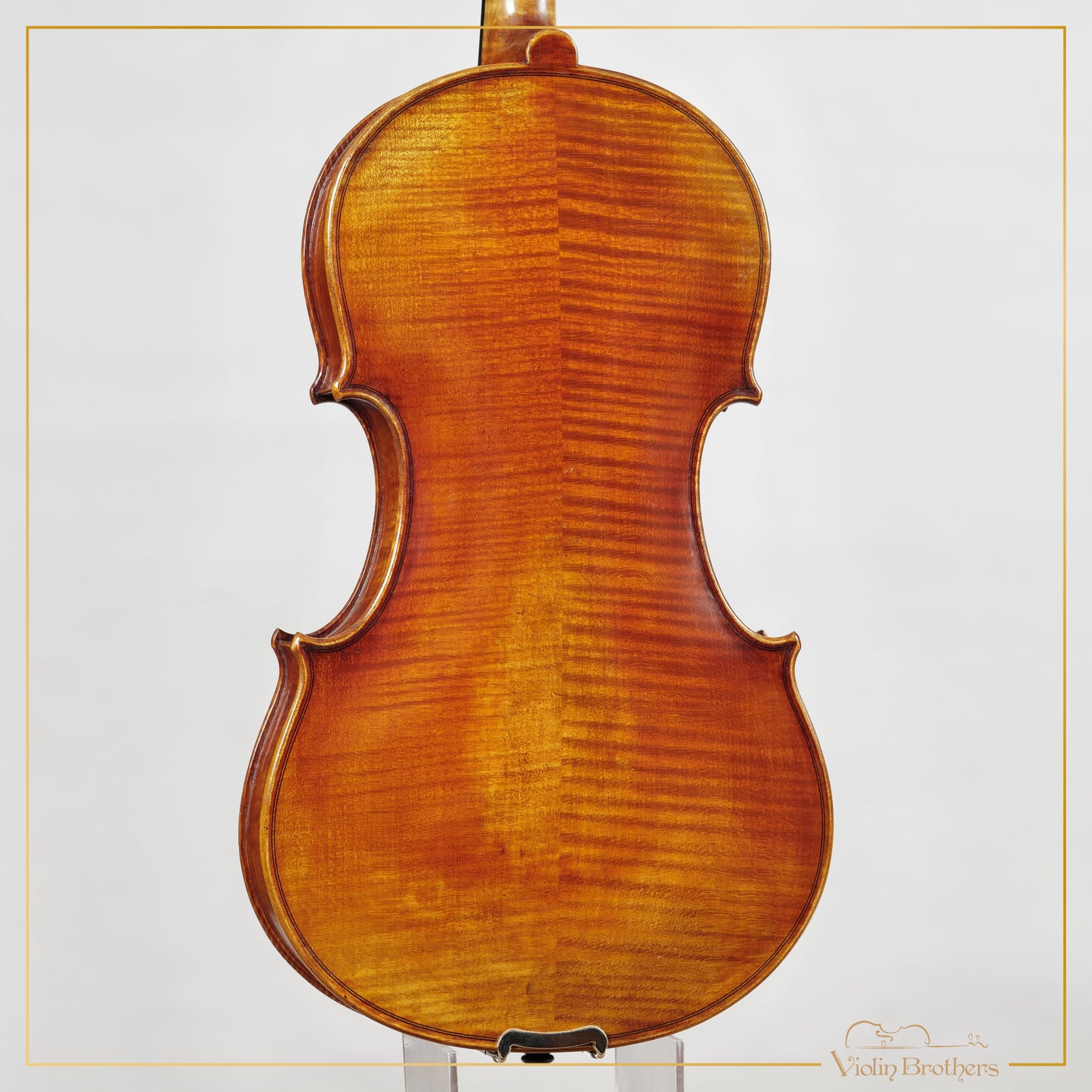 New Viola A7 16" | V22414