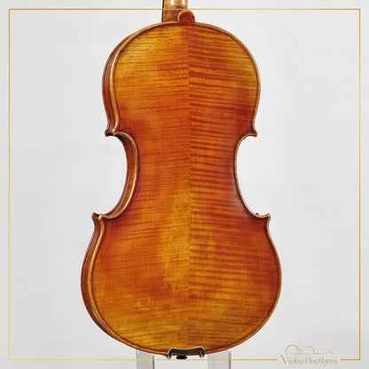 New Viola A7 16" | V22414