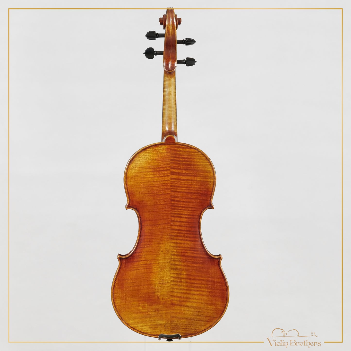 New Viola A7 16" | V22414