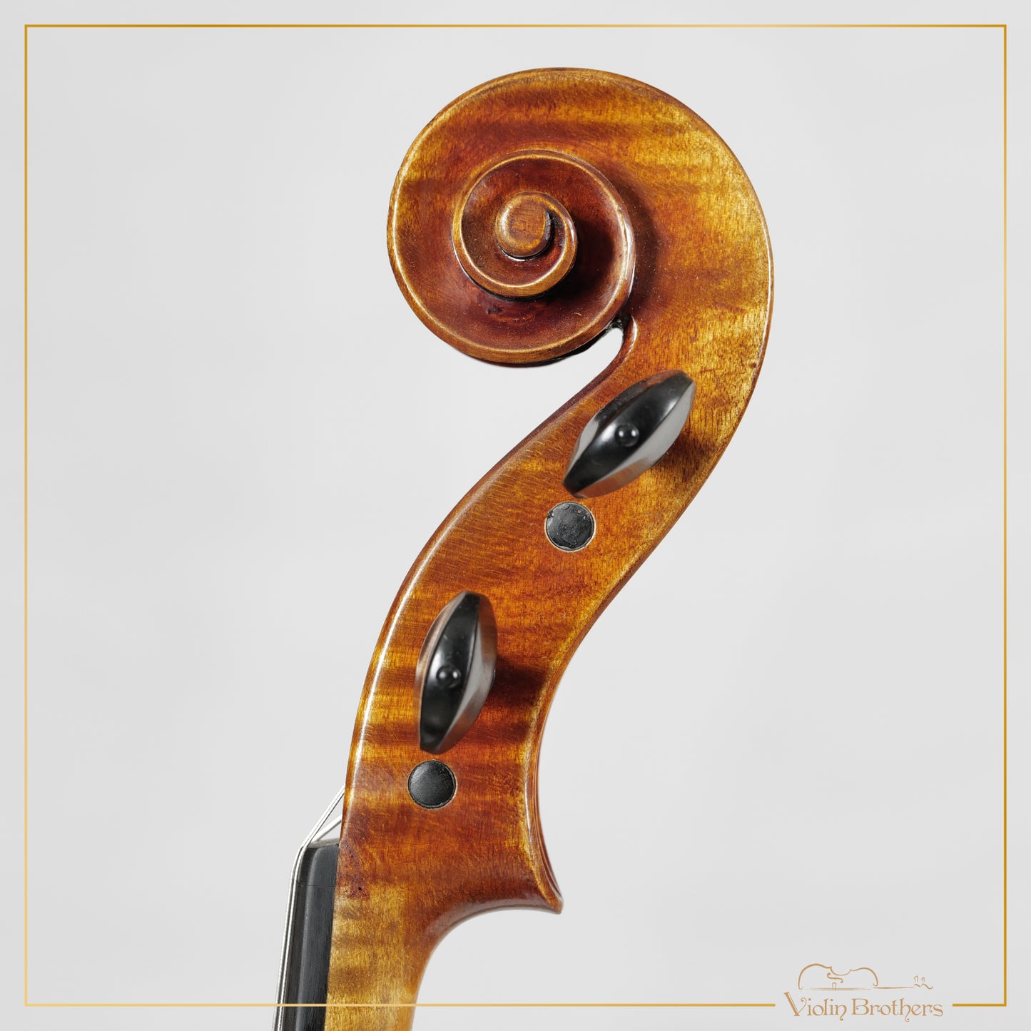 New Viola A7 16" | V22414