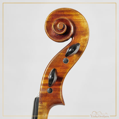 New Viola A7 16" | V22414