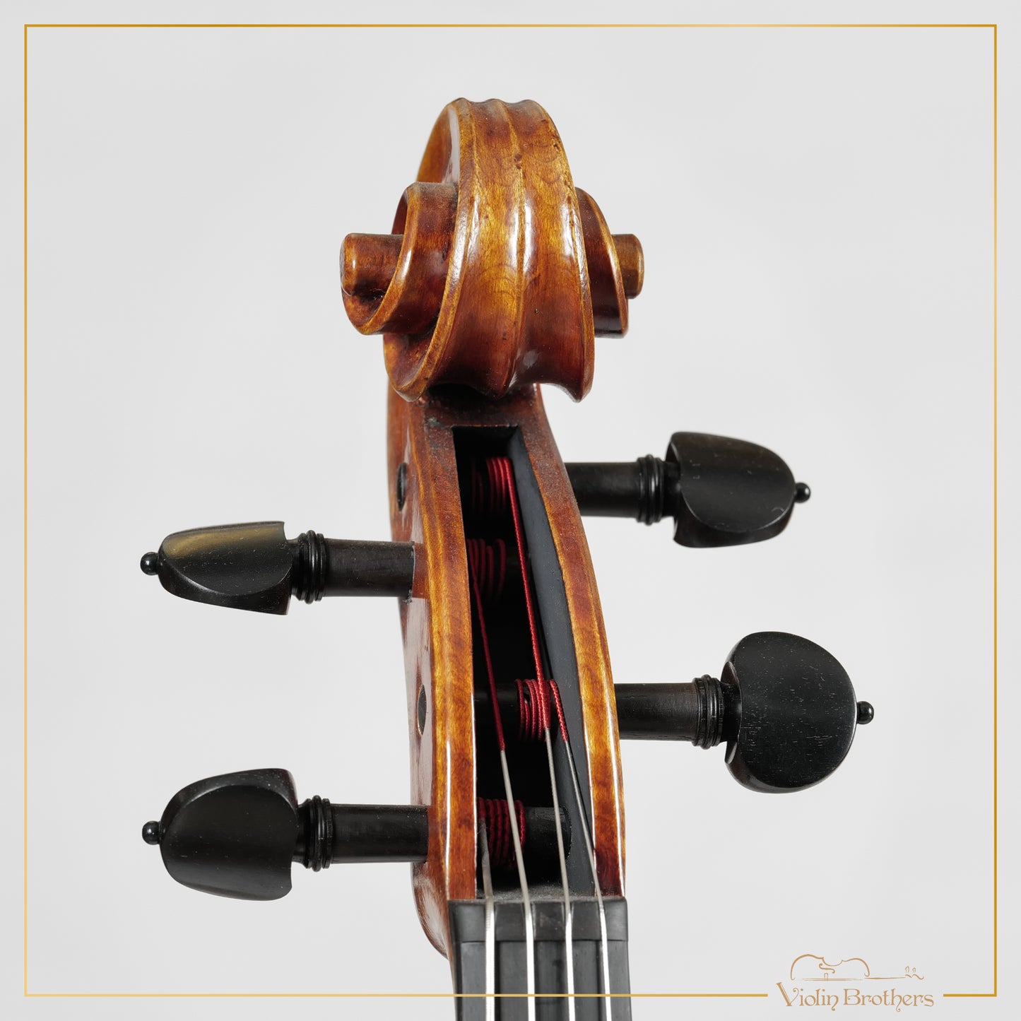New Viola A7 16" | V22414
