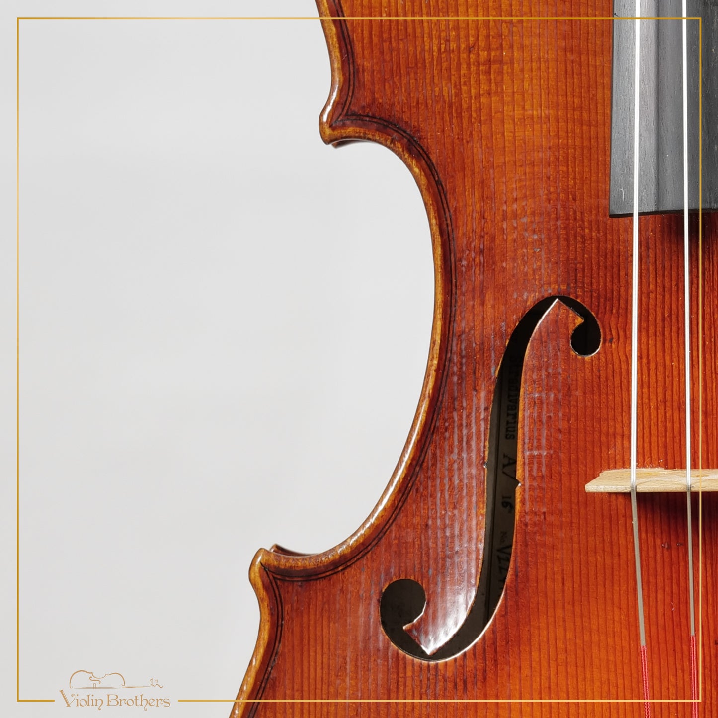 New Viola A7 16" | V22414