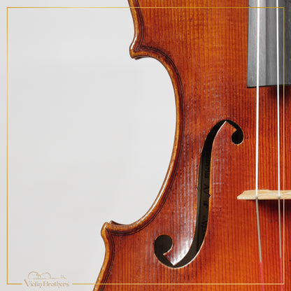 New Viola A7 16" | V22414