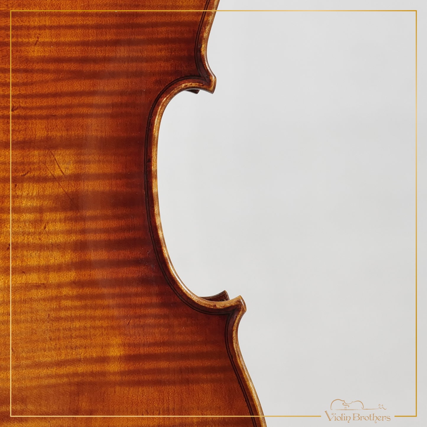 New Violin N8 4/4 | V21066