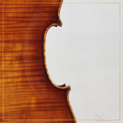 New Violin N8 4/4 | V21066