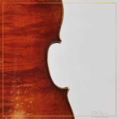 Antique French Violin 4/4 - Mirecourt Stradivarius model Ca1900 | A232020