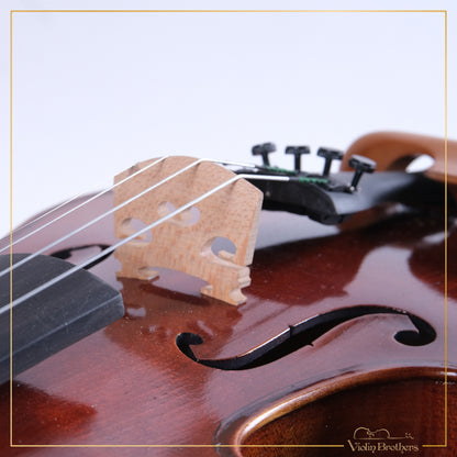 New Violin N1a 1/2