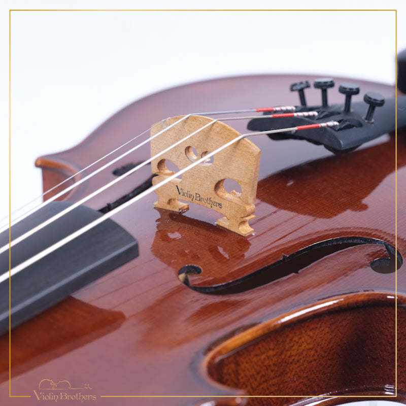 New Violin N3 3/4 | V21813