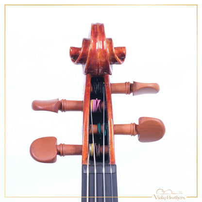 New Violin N2 1/2 | V21859