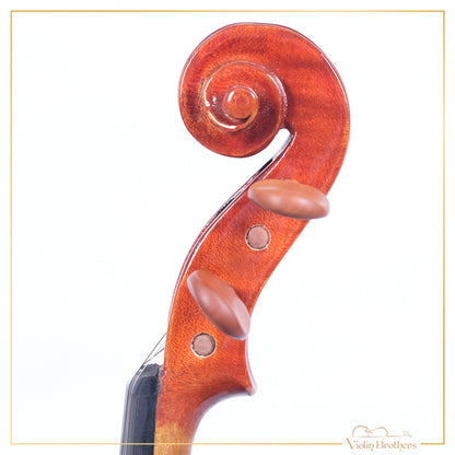 New Violin N2 1/2 | V21859