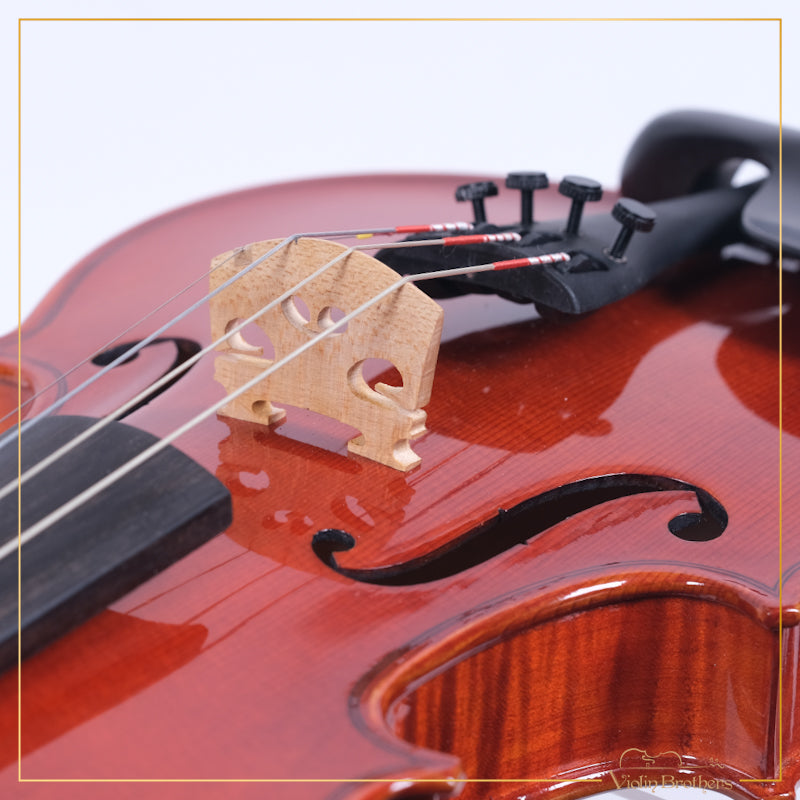 New Violin N2 1/2 | V21859
