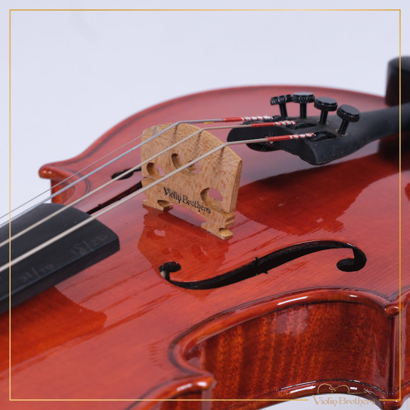 New Violin N2 1/4 | V21760