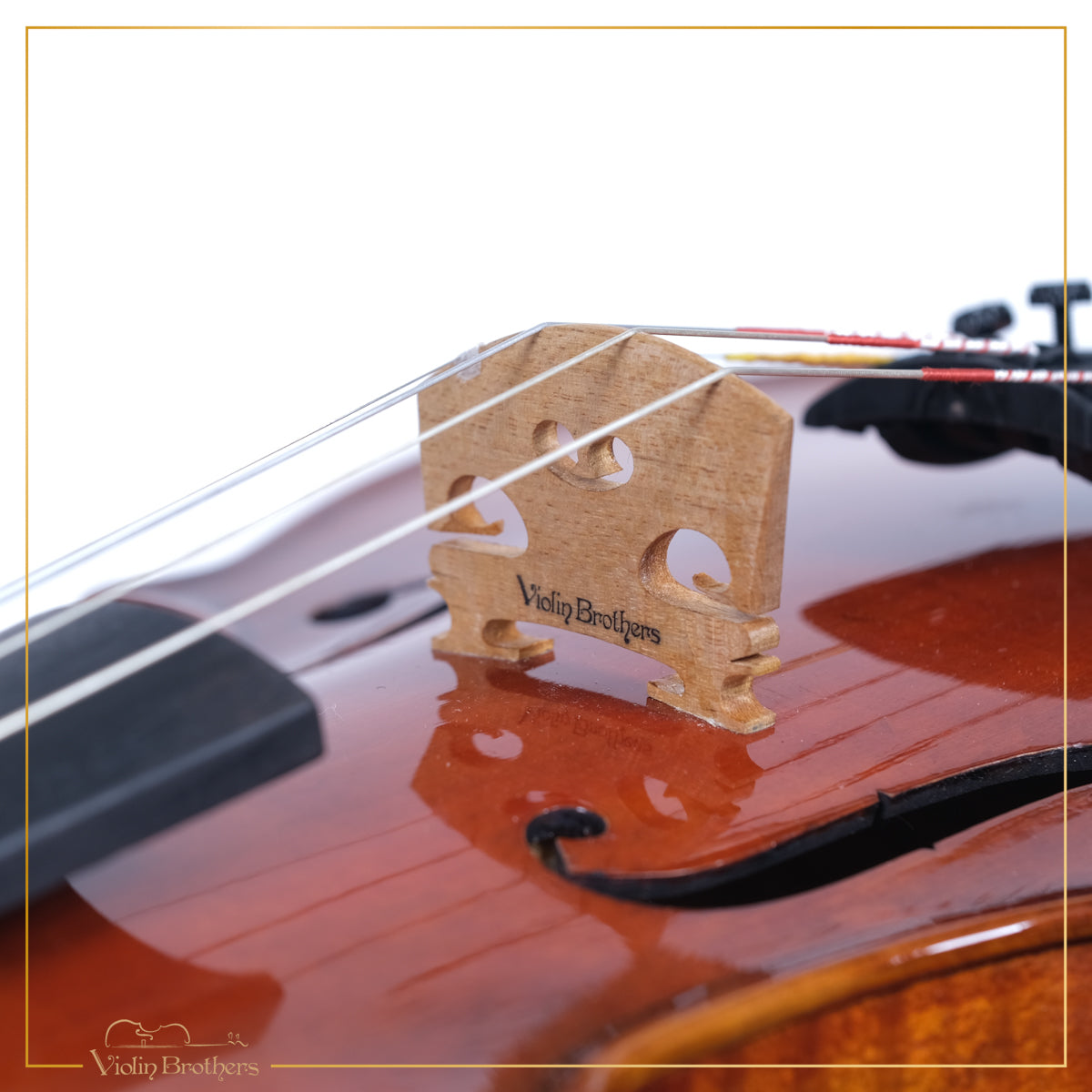 New Violin N4 4/4 | V22072