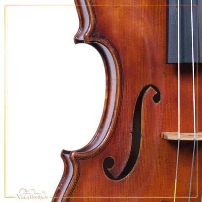 New Violin N7 4/4 | V22079