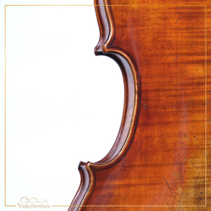 New Violin N7 4/4 | V22079