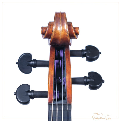 New Violin N7 4/4 | V22079