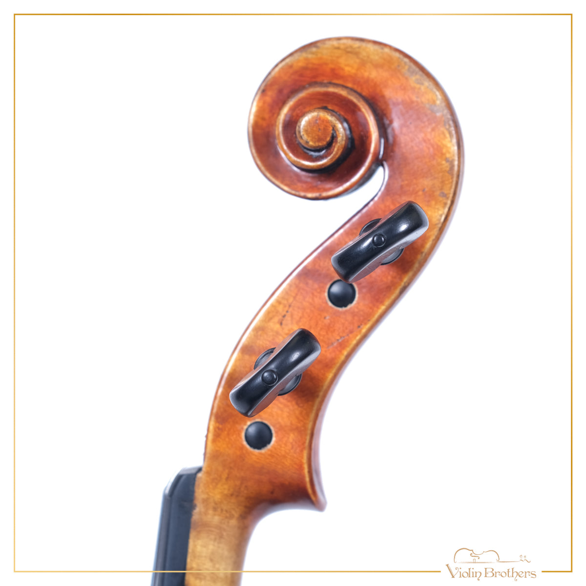 New Violin N7 4/4 | V22079