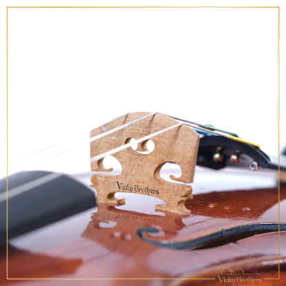 New Violin N7 4/4 | V22079