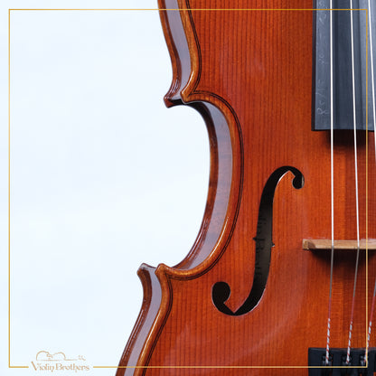 New Violin N3 4/4 | V22032