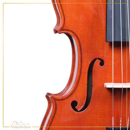 New Violin N2 4/4 | V22054