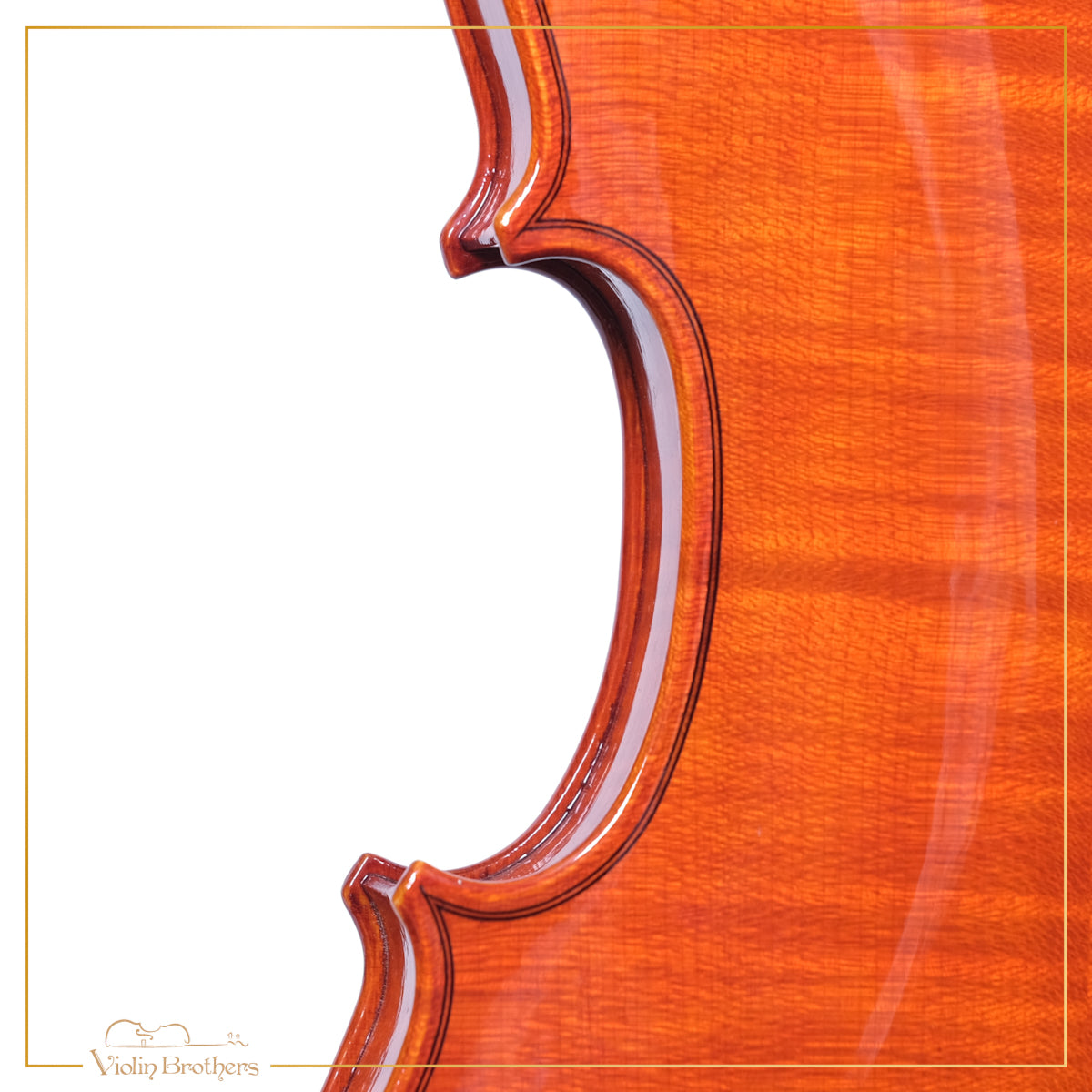 New Violin N2 4/4 | V22054