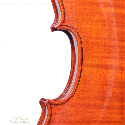 New Violin N2 4/4 | V22054