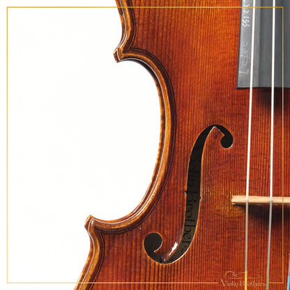 New Violin N6 4/4 | V22133