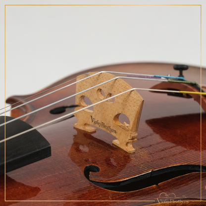 New Violin N6 4/4 | V22133